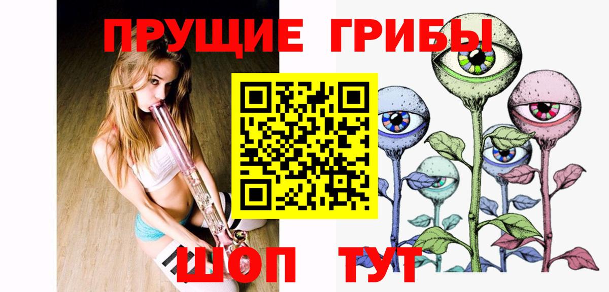 Псилоцибиновые грибы Psilocybine cubensis  Вход с VPN  Лесной  Галлюциногенные грибы прущие грибы 