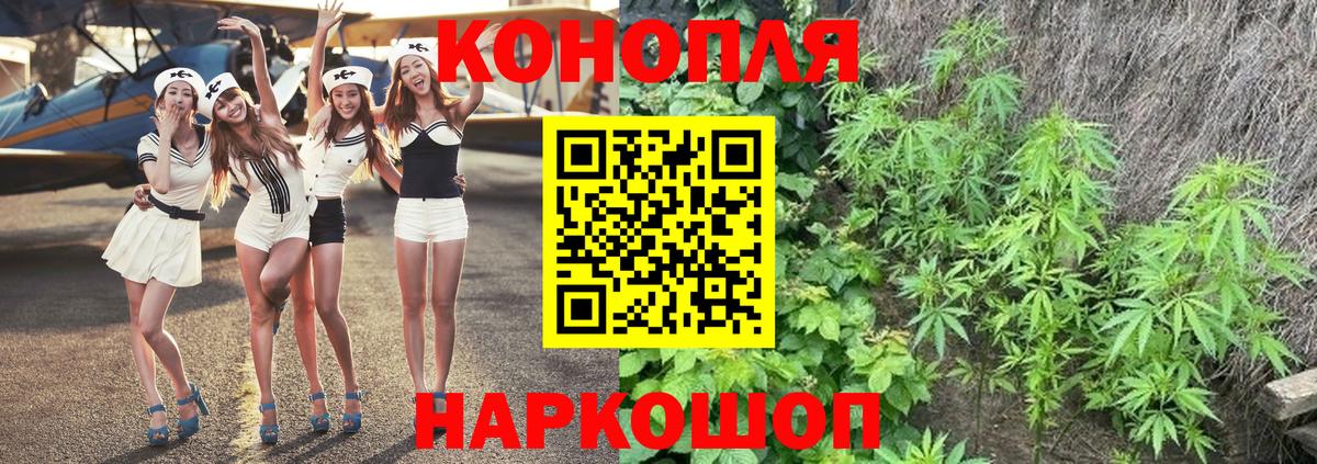 МАРИХУАНА OG Kush Лесной
